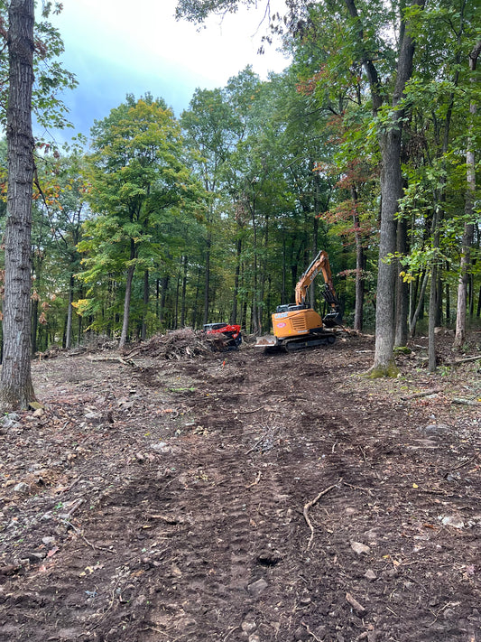 Land Clearing